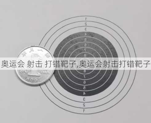 奥运会 射击 打错靶子,奥运会射击打错靶子