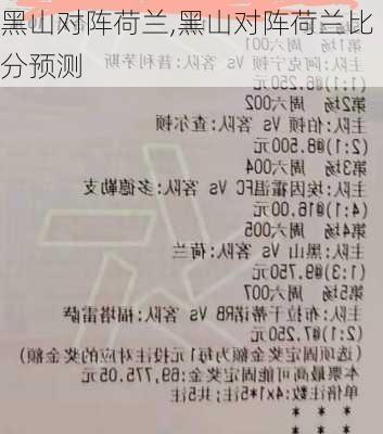 黑山对阵荷兰,黑山对阵荷兰比分预测