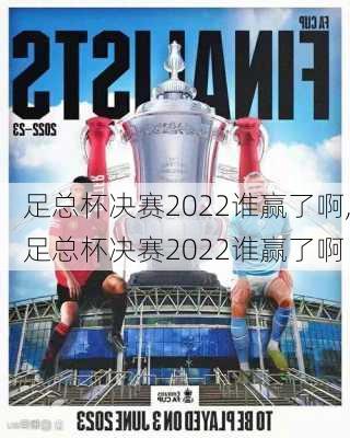 足总杯决赛2022谁赢了啊,足总杯决赛2022谁赢了啊