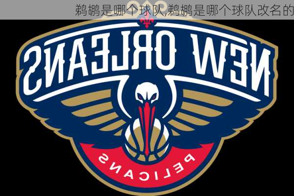 鹈鹕是哪个球队,鹈鹕是哪个球队改名的