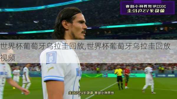 世界杯葡萄牙乌拉圭回放,世界杯葡萄牙乌拉圭回放视频