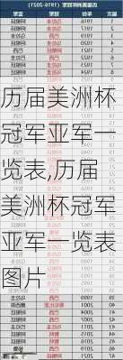历届美洲杯冠军亚军一览表,历届美洲杯冠军亚军一览表图片