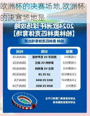 欧洲杯的决赛场地,欧洲杯的决赛场地是