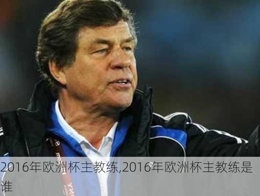 2016年欧洲杯主教练,2016年欧洲杯主教练是谁