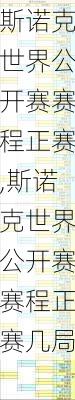 斯诺克世界公开赛赛程正赛,斯诺克世界公开赛赛程正赛几局
