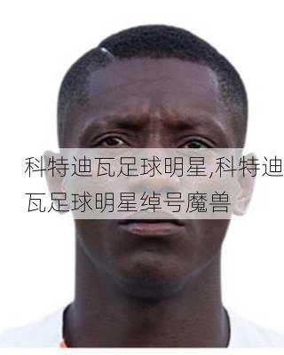 科特迪瓦足球明星,科特迪瓦足球明星绰号魔兽
