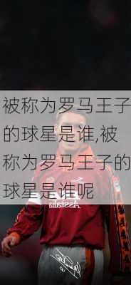 被称为罗马王子的球星是谁,被称为罗马王子的球星是谁呢