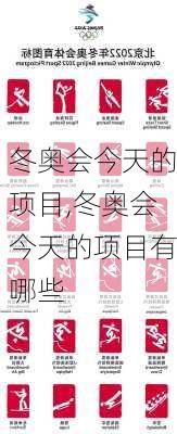 冬奥会今天的项目,冬奥会今天的项目有哪些