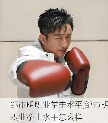 邹市明职业拳击水平,邹市明职业拳击水平怎么样