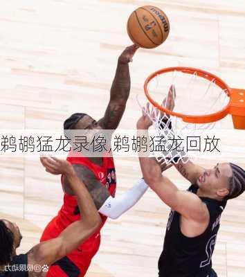 鹈鹕猛龙录像,鹈鹕猛龙回放