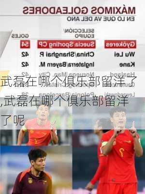 武磊在哪个俱乐部留洋了,武磊在哪个俱乐部留洋了呢