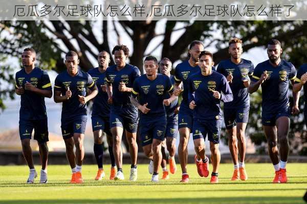 厄瓜多尔足球队怎么样,厄瓜多尔足球队怎么样了