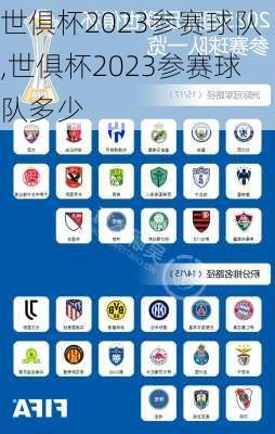 世俱杯2023参赛球队,世俱杯2023参赛球队多少