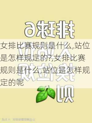 女排比赛规则是什么,站位是怎样规定的?,女排比赛规则是什么,站位是怎样规定的呢