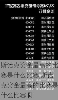 斯诺克奖金最高的比赛是什么比赛,斯诺克奖金最高的比赛是什么比赛啊