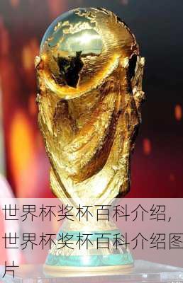 世界杯奖杯百科介绍,世界杯奖杯百科介绍图片