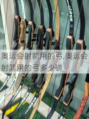 奥运会射箭用的弓,奥运会射箭用的弓多少磅