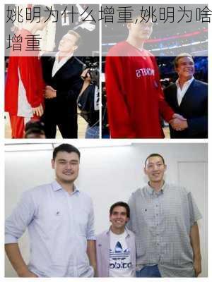 姚明为什么增重,姚明为啥增重