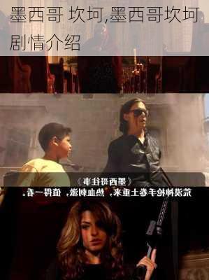 墨西哥 坎坷,墨西哥坎坷剧情介绍
