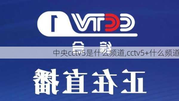 中央cctv5是什么频道,cctv5+什么频道