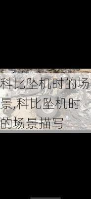 科比坠机时的场景,科比坠机时的场景描写