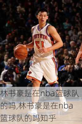 林书豪是在nba篮球队的吗,林书豪是在nba篮球队的吗知乎