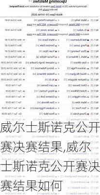 威尔士斯诺克公开赛决赛结果,威尔士斯诺克公开赛决赛结果如何