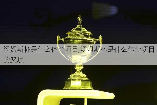 汤姆斯杯是什么体育项目,汤姆斯杯是什么体育项目的奖项