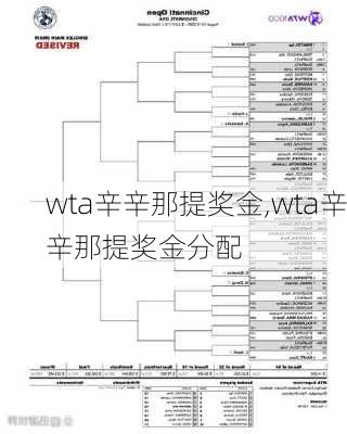 wta辛辛那提奖金,wta辛辛那提奖金分配