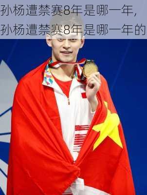 孙杨遭禁赛8年是哪一年,孙杨遭禁赛8年是哪一年的