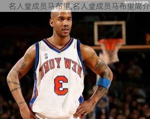 名人堂成员马布里,名人堂成员马布里简介