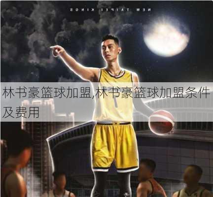 林书豪篮球加盟,林书豪篮球加盟条件及费用