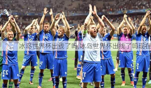 冰岛世界杯出线了吗,冰岛世界杯出线了吗现在