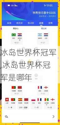 冰岛世界杯冠军,冰岛世界杯冠军是哪年