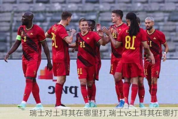 瑞士对土耳其在哪里打,瑞士vs土耳其在哪打