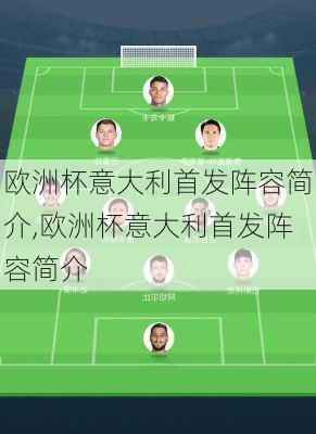 欧洲杯意大利首发阵容简介,欧洲杯意大利首发阵容简介