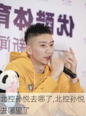 北控孙悦去哪了,北控孙悦去哪里了