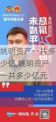 姚明资产一共多少亿,姚明资产一共多少亿元