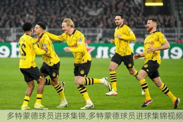 多特蒙德球员进球集锦,多特蒙德球员进球集锦视频