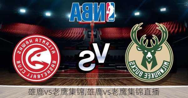 雄鹿vs老鹰集锦,雄鹿vs老鹰集锦直播