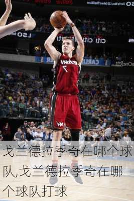 戈兰德拉季奇在哪个球队,戈兰德拉季奇在哪个球队打球