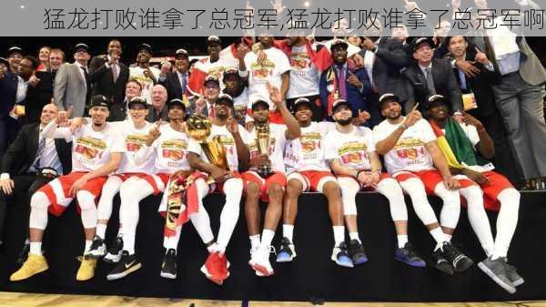 猛龙打败谁拿了总冠军,猛龙打败谁拿了总冠军啊